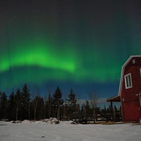 The Big Red Barn Leilighet Whitehorse Eksteriør bilde